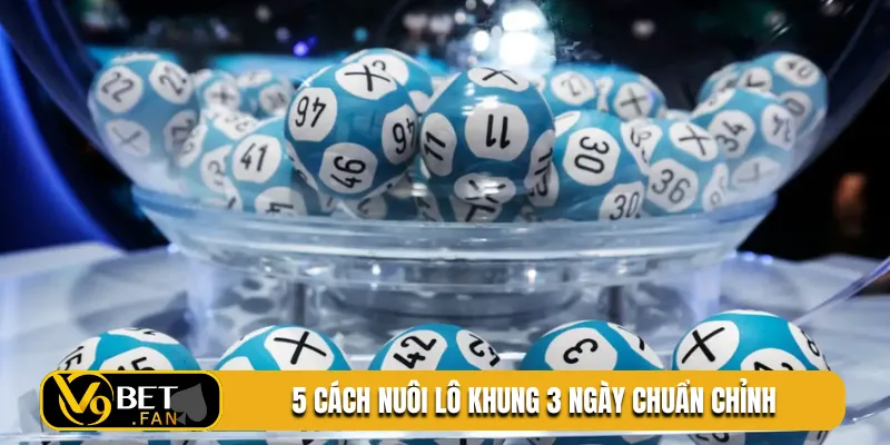 5 cách nuôi lô khung 3 ngày chuẩn chỉnh