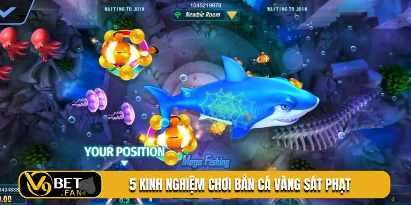 5 kinh nghiệm chơi bắn cá vàng sát phạt