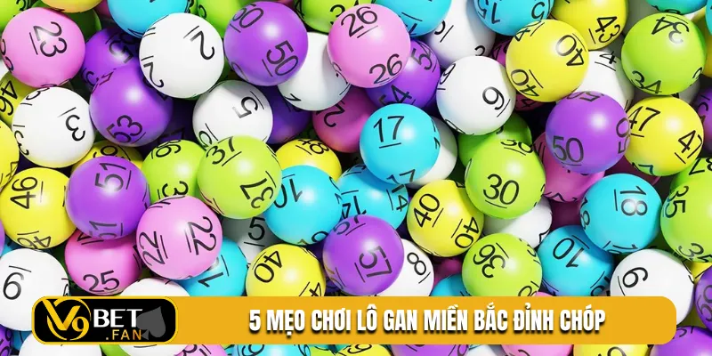 5 mẹo chơi lô gan miền bắc đỉnh chóp