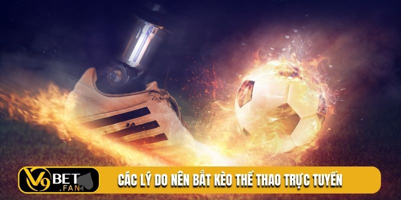 Các lý do nên bắt kèo thể thao trực tuyến