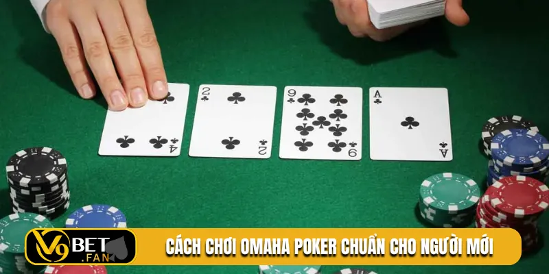Cách chơi Omaha Poker chuẩn cho người mới