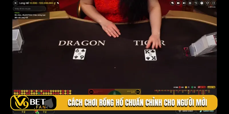 Cách chơi rồng hổ chuẩn chỉnh cho người mới
