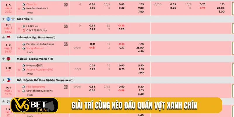 Giải trí cùng kèo đấu quần vợt xanh chín
