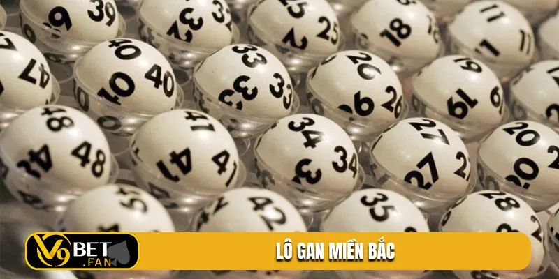 lo gan mien bac