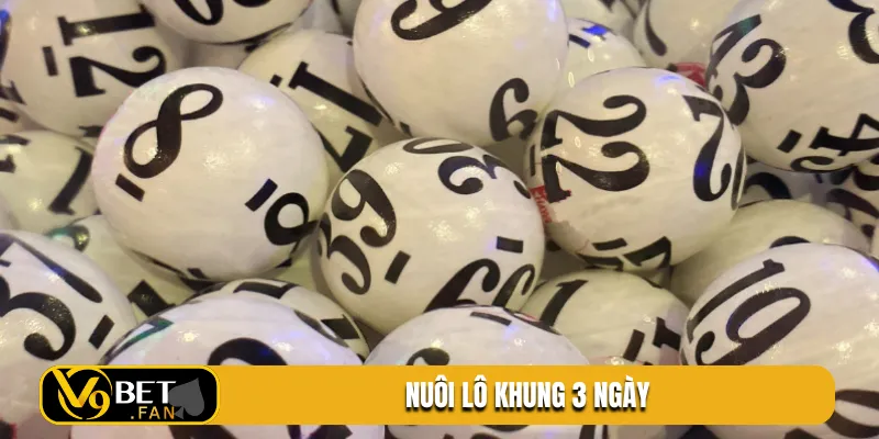 nuoi lo khung 3 ngay