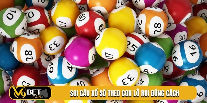 Soi cầu xổ số theo con lô rơi đúng cách